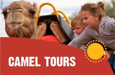 Camel Tours