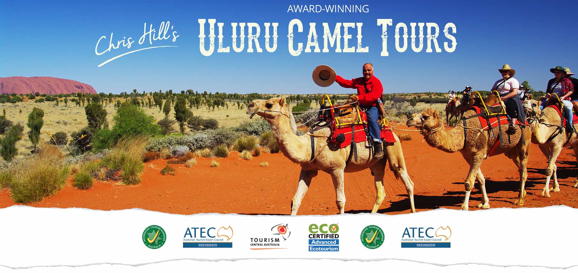 Uluru Camel Tours Your Unique Uluru Experience