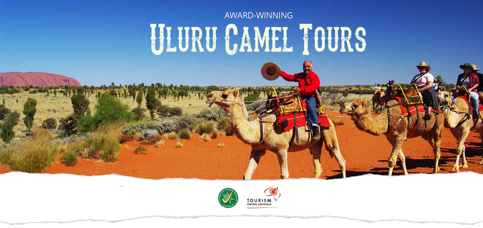 Award Winning Uluru Camel Tours - Your Unique Uluru Experience